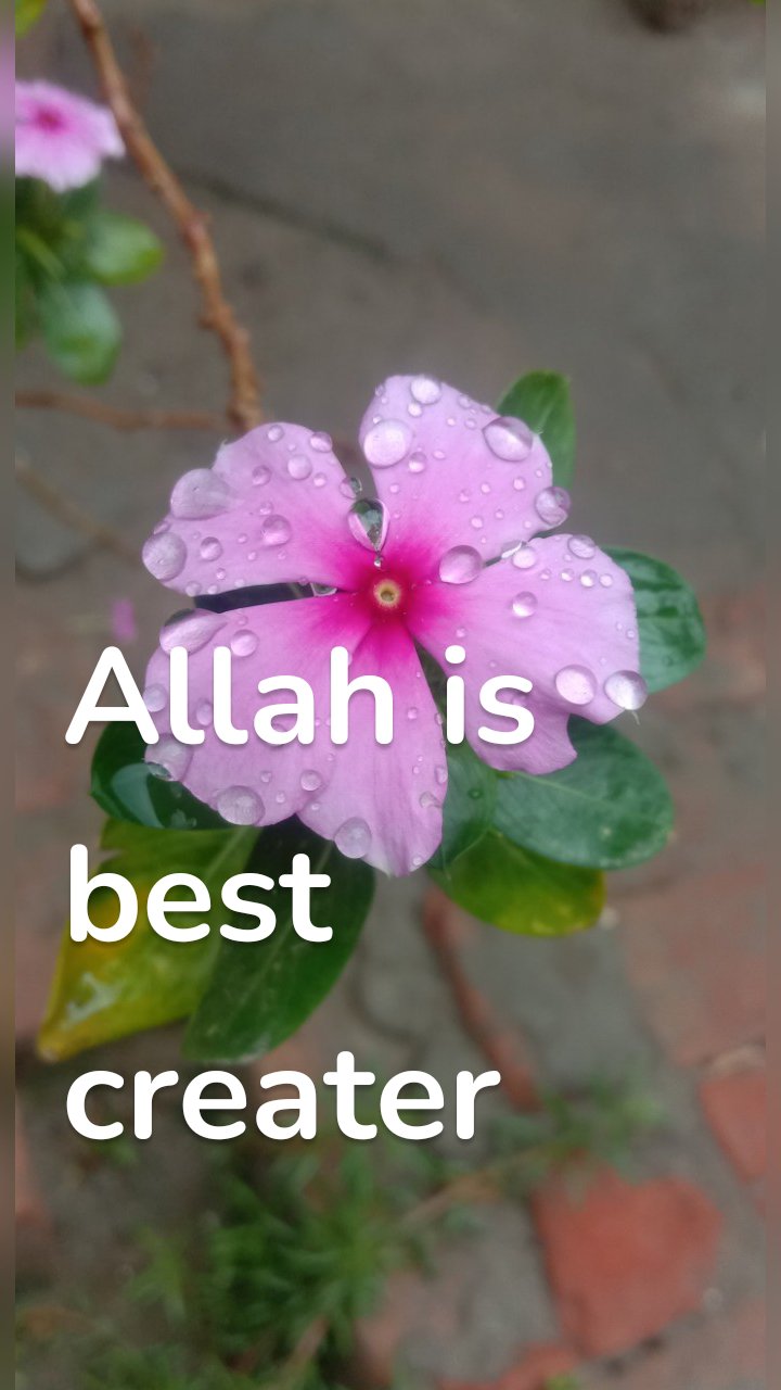 Allah is best creater
